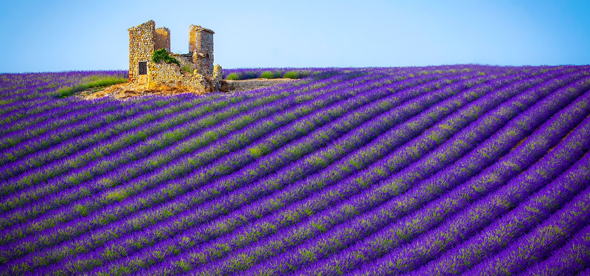 Things to Do in AixenProvence Activities & Attractions in Provence