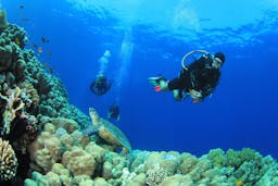 Diving in Saint Lucia at Windjammer